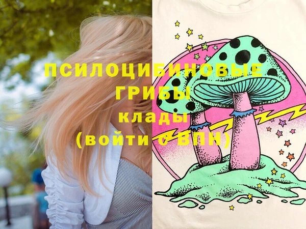 тгк Абаза